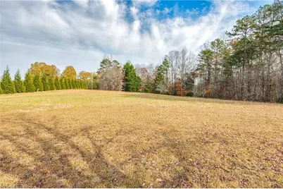 0 Conrad Road, Lewisville, NC 27023 - Photo 2