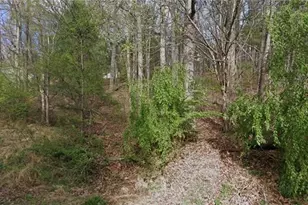 Tbd Laurel Mountain Rd, North Wilkesboro, NC 28659 - Photo 1