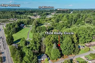 1524 Holly Cir, Wilkesboro, NC 28697 - Photo 6