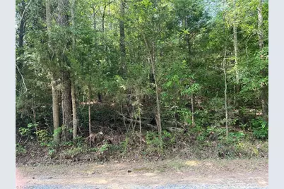 0 Silver Maple Road, Sophia, NC 27350 - Photo 2
