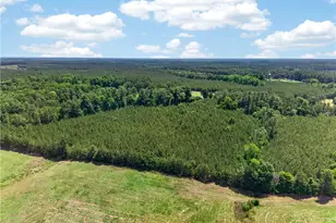 1864 Cotton Creek Rd, Biscoe, NC 27209 - Photo 42