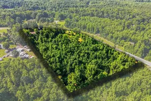 843 Worsham Mill Rd, Ruffin, NC 27326 - Photo 4