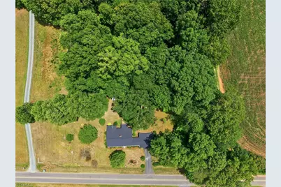 7238 Abb Road, Gibsonville, NC 27249 - Photo 44