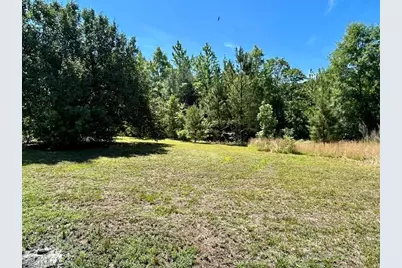 8365 Dirgie Mine Road, Roxboro, NC 27574 - Photo 4