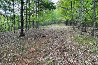 Tbd Edwin Blevins Road, Jefferson, NC 28640 - Photo 1