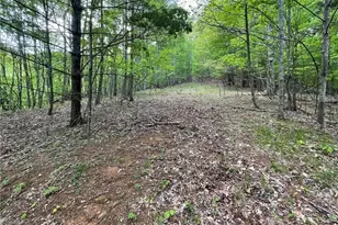 Tbd Edwin Blevins Rd, Jefferson, NC 28640 - Photo 1