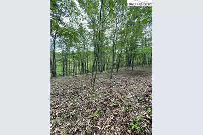 Tbd Edwin Blevins Road, Jefferson, NC 28640 - Photo 2