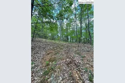 Tbd Edwin Blevins Road, Jefferson, NC 28640 - Photo 12