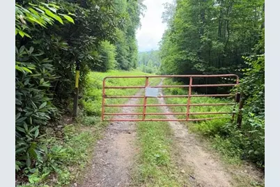 0 Shell Creek Road, Ferguson, NC 28624 - Photo 8