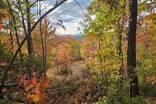 0 Shell Creek Rd, Ferguson, NC 28624 - Photo 1
