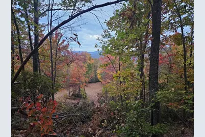 0 Shell Creek Road, Ferguson, NC 28624 - Photo 4