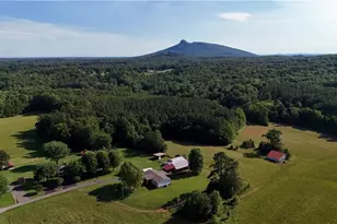 1075 Atkins Ln, Pinnacle, NC 27043 - Photo 2