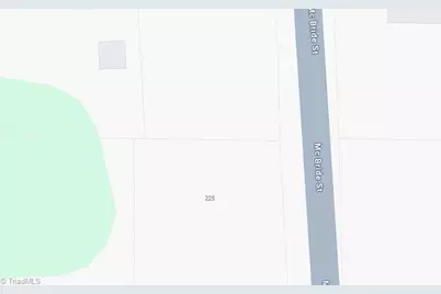 225 McBride Street, Graham, NC 27253 - Photo 6