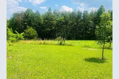 251 Donavan Lane, Dobson, NC 27017 - Photo 24