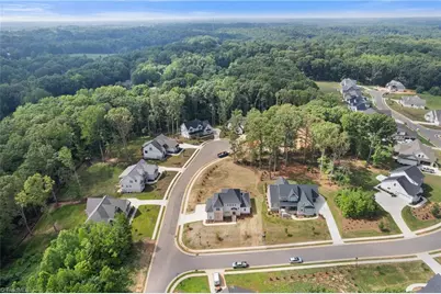 8906 Maltese Court, Lewisville, NC 27023 - Photo 48