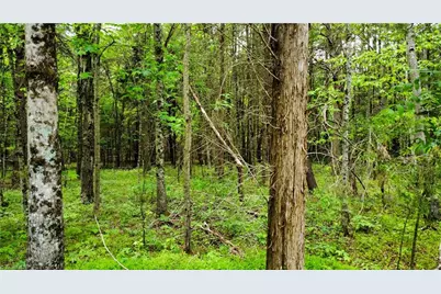 0 Eden Road, Stoneville, NC 27048 - Photo 10