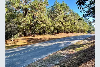 0 Hylan Avenue, Hamlet, NC 28345 - Photo 6