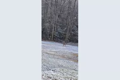 Lot 23 Green Pasture Lane, Ferguson, NC 28624 - Photo 10