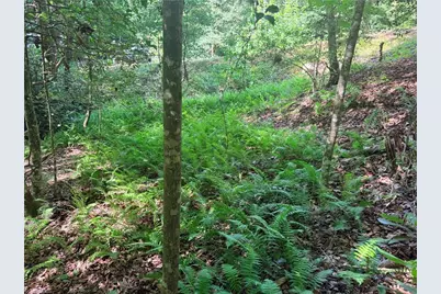 Lot 23 Green Pasture Lane, Ferguson, NC 28624 - Photo 14