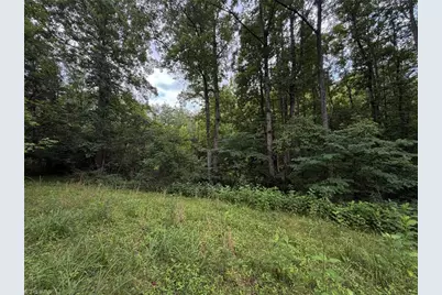 1215 Lucius Beasley Road, Westfield, NC 27053 - Photo 26