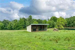 7388 Old 421 Rd, Liberty, NC 27298 - Photo 24