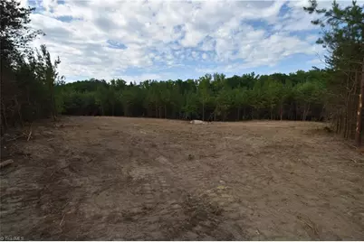 585 Briar Ridge Lane Extension, Yanceyville, NC 27379 - Photo 4