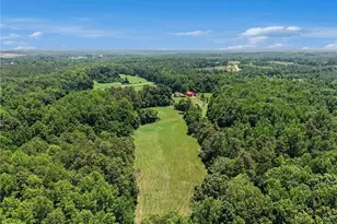 5529 Hollow Hill Rd, Liberty, NC 27298 - Photo 34
