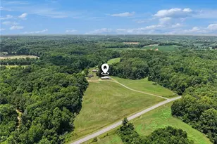5529 Hollow Hill Rd, Liberty, NC 27298 - Photo 44