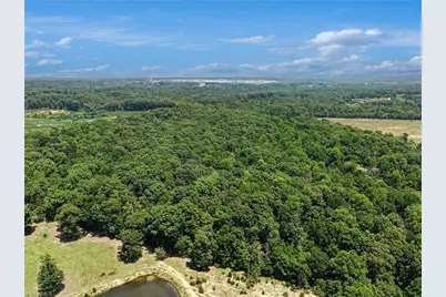 5529 Hollow Hill Road, Liberty, NC 27298 - Photo 42
