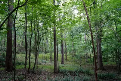 220 Austin Lane, Stokesdale, NC 27357 - Photo 4