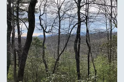 Lots 171 & 172B Blue Rock Road, Purlear, NC 28665 - Photo 22