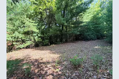 Lots 171 & 172B Blue Rock Road, Purlear, NC 28665 - Photo 8