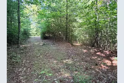 Lots 171 & 172B Blue Rock Road, Purlear, NC 28665 - Photo 10