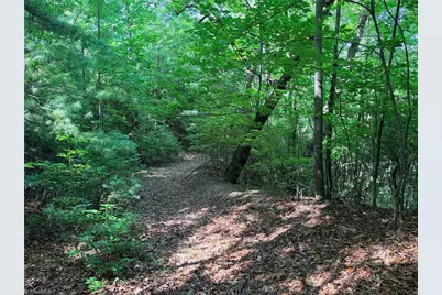 Lots 171 & 172B Blue Rock Road, Purlear, NC 28665 - Photo 12