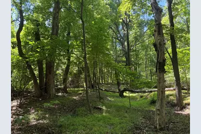 00 Salem Church Road, Reidsville, NC 27320 - Photo 18