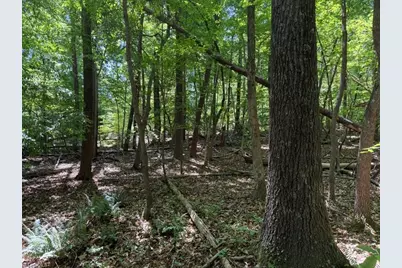 00 Salem Church Road, Reidsville, NC 27320 - Photo 20
