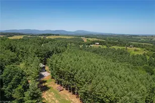 896 Alta Vista Ln, Sparta, NC 28675 - Photo 34