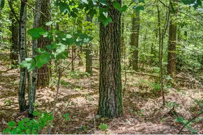 00 Garrett Road, Stoneville, NC 27048 - Photo 10