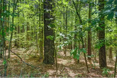 00 Garrett Road, Stoneville, NC 27048 - Photo 12