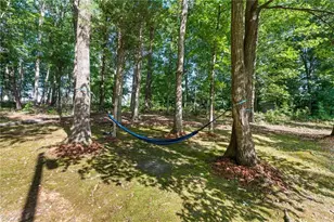 5133 Lewis Brown Rd, Bennett, NC 27208 - Photo 46