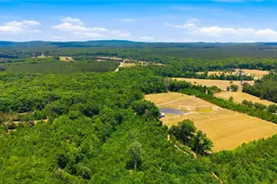 7848 Nc Hwy 47, Lexington, NC 27292 - Photo 12