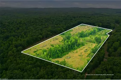 00 Cane Creek Road, Snow Camp, NC 27349 - Photo 1