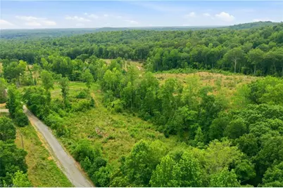 00 Cane Creek Road, Snow Camp, NC 27349 - Photo 16