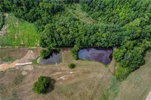 9730 Nc Hwy 87, Reidsville, NC 27320 - Photo 12
