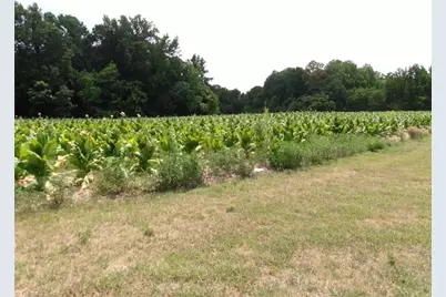 1706 Mount Hope Church Road, McLeansville, NC 27301 - Photo 2