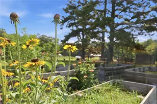 24654 Matton Grove Church Rd, Gold Hill, NC 28071 - Photo 12