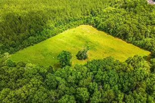 523 Round House Rd, Eden, NC 27288 - Photo 6