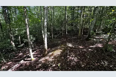 00A Higgins Road, Wilkesboro, NC 28697 - Photo 4
