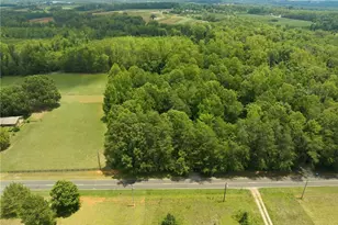 8474 Running Creek Rd, Gibsonville, NC 27249 - Photo 26