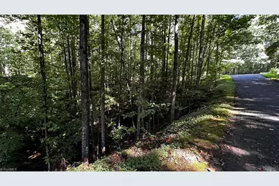 00B Higgins Road, Wilkesboro, NC 28697 - Photo 4